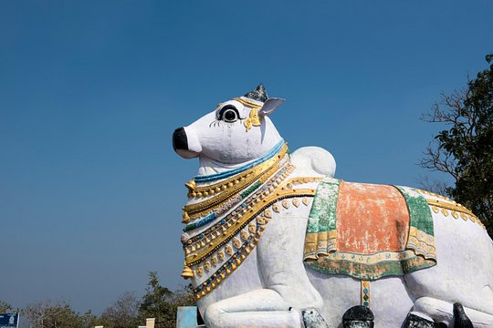 Tour image 6